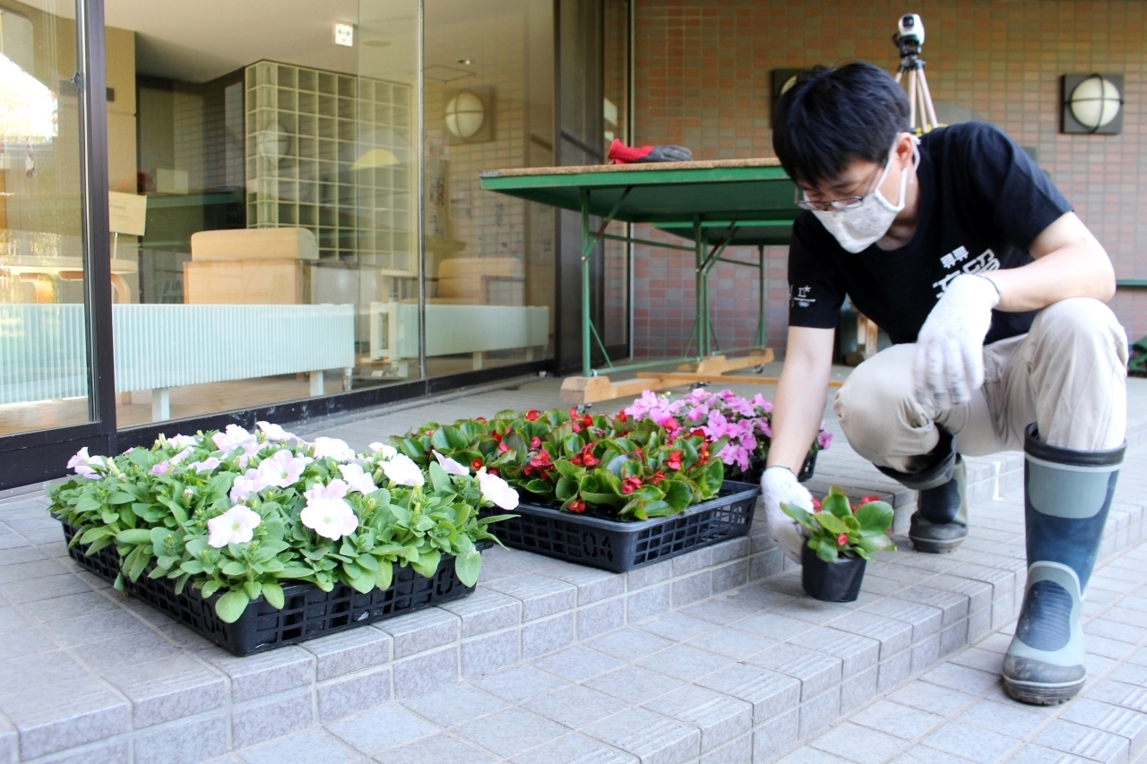庭p Garden Project 花を植える Aisプランニング